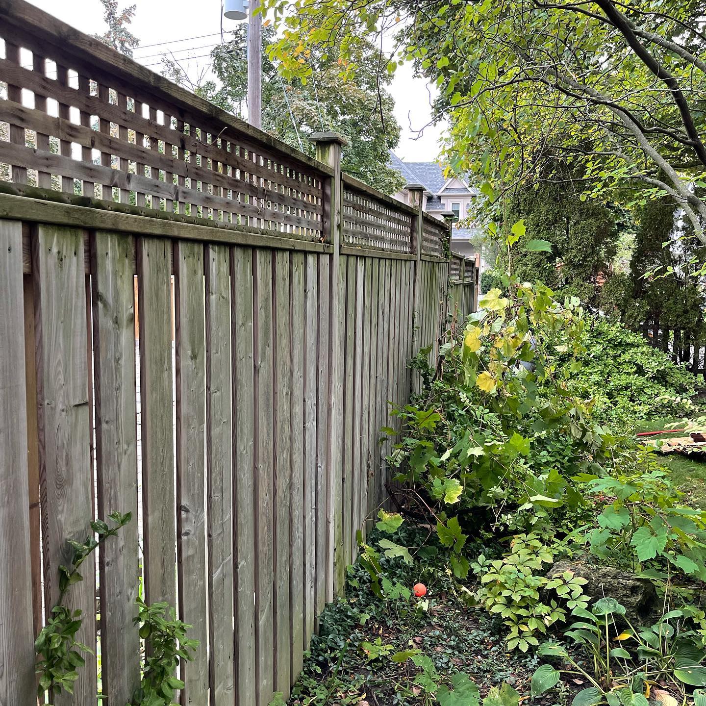 Weathered wood privacy fence with lattice top before replacement by North Edge Build